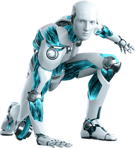 Bionic Robot